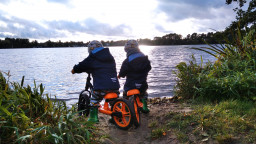 IMG_20211015_165947_1.jpg
