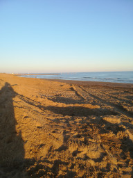 IMG-20211017-WA0011.jpeg