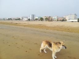 IMG-20211020-WA0024.jpeg