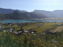 IMG-20211011-WA0047.jpeg