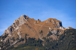 und nochmal Aggenstein. Man sieht den Gipfelanstieg und den Abstieg über die (geschlossene) Bad Kissinger Hütte.