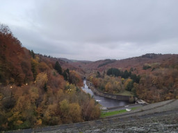 20211105_171453.jpg