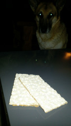 IMG-20171019-WA0133.jpeg