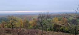 20211113_084620.jpg
