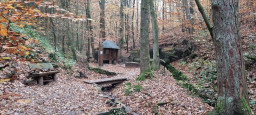 20211113_091153.jpg