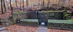20211113_091306.jpg