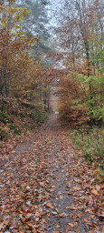 20211113_094734.jpg