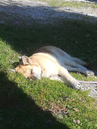 IMG-20211018-WA0006.jpeg