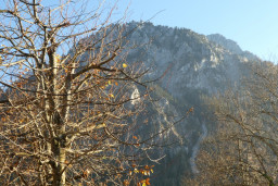 P1010757.JPG