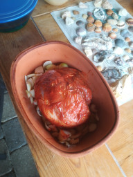IMG-20211031-WA0001.jpeg