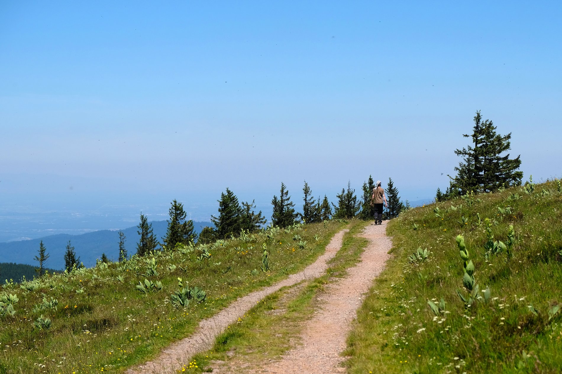 Feldberg