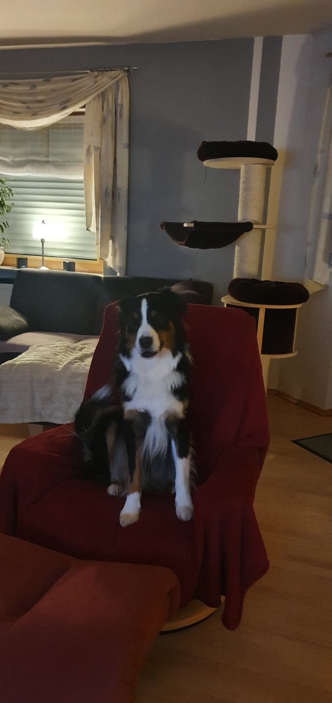 20201207_204218.jpg