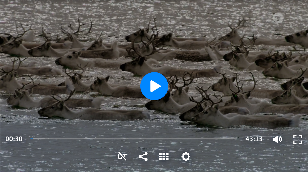 Screenshot_2020-12-08 Polartag - Skandinaviens Wildnis im Sommer.png