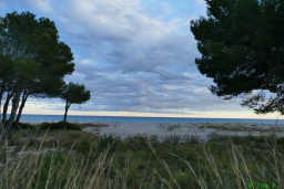 P1220128.JPG