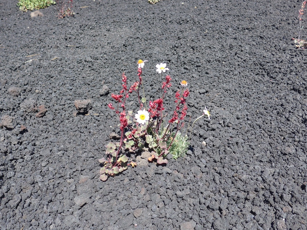 P1050420.JPG