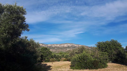 IMG-20211201-WA0029.jpg