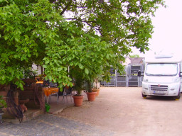 RIMG0523.JPG