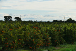 P1220143.JPG