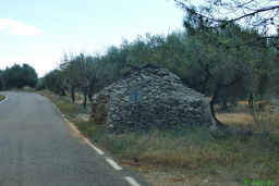 P1220144.JPG