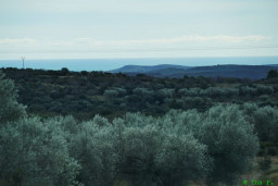 P1220145.JPG