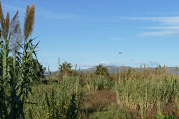 P1220151.JPG