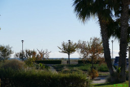 P1220152.JPG