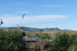 P1220156.JPG