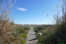 P1220157.JPG