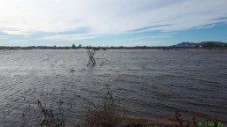 IMG-20211206-WA0026.jpg
