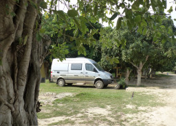 Porto Jofre, Pantanal