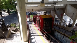 1-WP_20170901_005.jpg