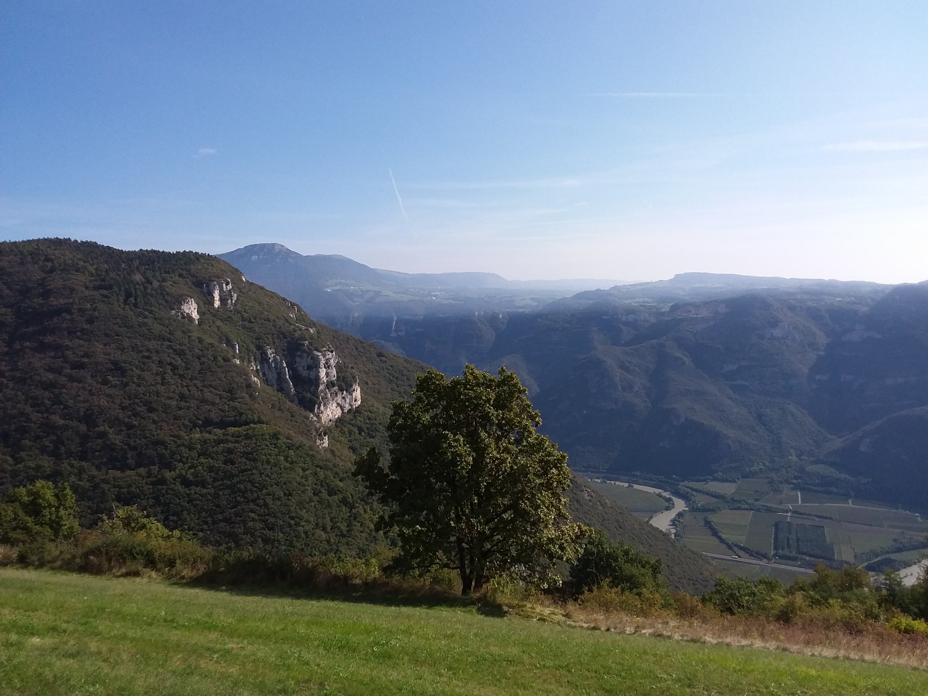 20201009_114055.jpg