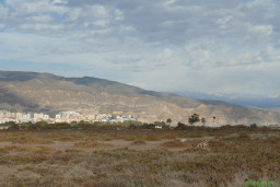 P1220425.JPG