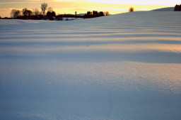 PICT0085.JPG