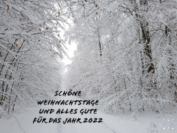 Im Park
