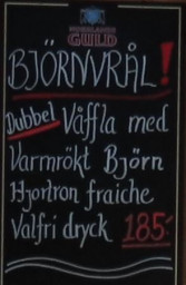 baer2.JPG