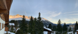 IMG_2317.jpeg