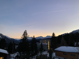 IMG_2318.jpeg