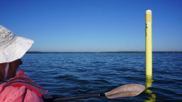 DSC03577 (1024x575).jpg