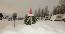 Neuschnee.JPG