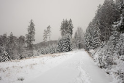 DSC00048.jpg