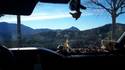 IMG-20220109-WA0023.jpg