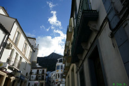 P1230100.JPG
