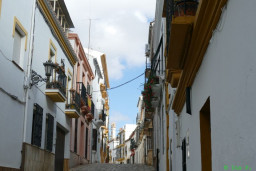 P1230219.JPG
