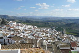 P1230260.JPG
