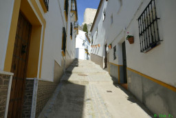 P1230279.JPG