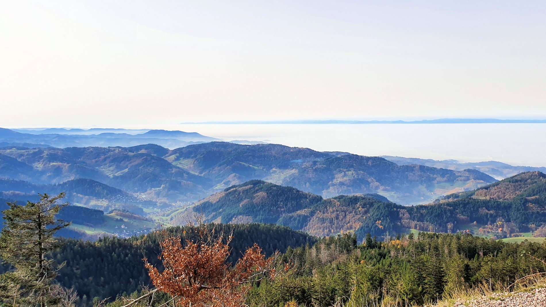 20201107_104726.jpg