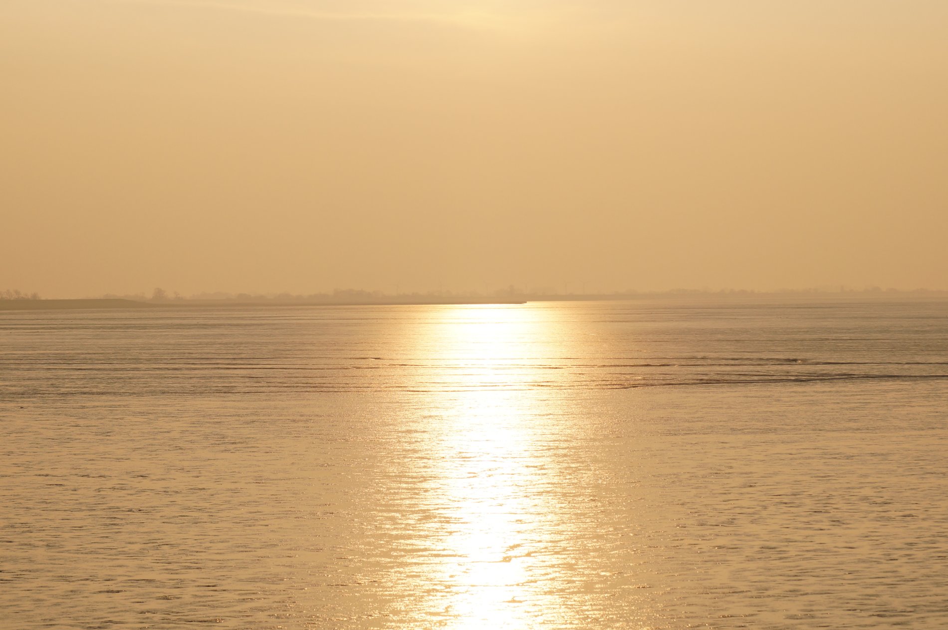 DSC02533.JPG