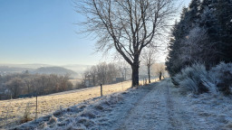 20220125_100539.jpg