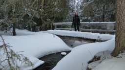 schnee.JPG